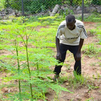 Tierra-foundation_square